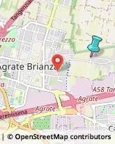 Falegnami,20864Monza e Brianza