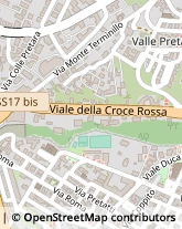 Viale Croce Rossa, 129,67100L'Aquila