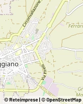 Via Cristoforo Colombo, ,70010Triggiano