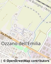 Via Fosse Ardeatine, 8,40064Ozzano dell'Emilia