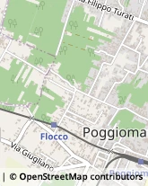 Via Nappi, 67,80040Poggiomarino