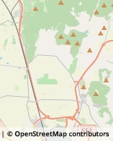 Equitazione - Impianti e Corsi,58100Grosseto