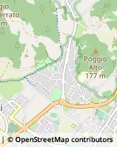 Via Curzio Malaparte, 30,59100Prato