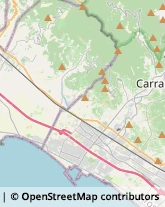 Via Frassina, 65,54033Carrara