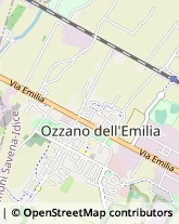 Via Fosse Ardeatine, 8,40064Ozzano dell'Emilia