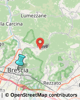 Pelletterie - Dettaglio,25122Brescia