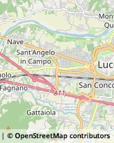 Via delle Tagliate Prima, 231,55100Lucca