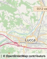 Via delle Tagliate Prima, 231,55100Lucca