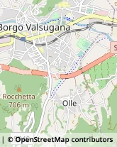 Via per Olle, 40,38051Borgo Valsugana