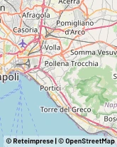 Pollame, Conigli e Selvaggina - Dettaglio,80040Napoli