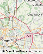 Via Anapo, 29,00199Roma