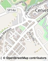 Via Settevene Palo, 196,00052Cerveteri