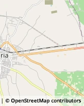 Strada Provinciale Manduria-Lecce, ,74024Manduria