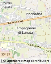 Parrucchieri,55100Lucca