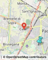 Agenzie di Animazione e Spettacolo,35134Padova