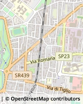 Via Domenico Barsocchini, 61,55100Lucca