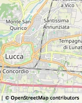 Psicoanalisi - Studi e Centri,55100Lucca