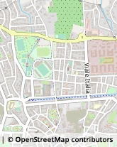 Viale Italia, 46,51100Pistoia