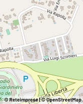 Agenti e Rappresentanti di Commercio,73100Lecce