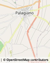 Via Carella, 53,74019Palagiano