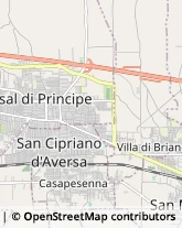 Via L. Santagata, 232,81030Villa di Briano