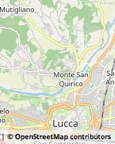 Via San Giorgio, 9,55100Lucca