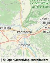 Enoteche,56038Pisa