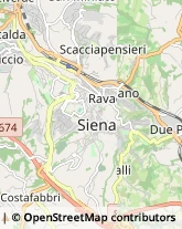 Agenti e Rappresentanti di Commercio,53100Siena