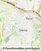 Avvocati,53100Siena