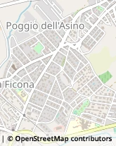 Campeggi, Villaggi Turistici e Ostelli,00052Roma