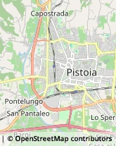 Via di Brana, 125,51030Pistoia