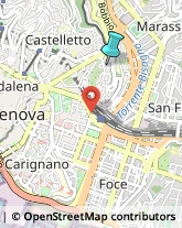 Palestre e Centri Fitness,16122Genova