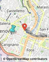 Palestre e Centri Fitness,16128Genova