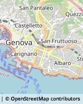 Disinfezione, Disinfestazione e Derattizzazione,16121Genova