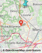 Gomma Articoli - Dettaglio,20851Monza e Brianza