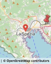 Via Sarzana, 421,19136La Spezia