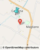 Pollame, Conigli e Selvaggina - Dettaglio,47100Forlì-Cesena