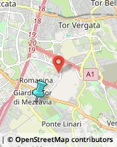 Palestre e Centri Fitness,00118Roma