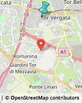 Agenzie di Animazione e Spettacolo,00133Roma