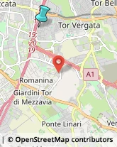 Impianti Sportivi,00133Roma