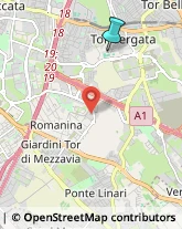 Palestre e Centri Fitness,00133Roma