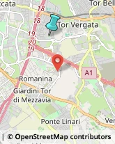 Impianti Sportivi,00133Roma