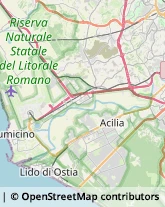 Via Capo Spartivento, 86,00122Roma