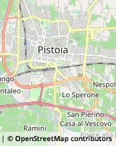 Fisiokinesiterapia - Medici Specialisti,51100Pistoia