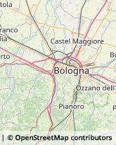 Bulbi e Sementi,40055Bologna