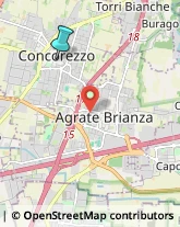 Gelaterie,20863Monza e Brianza