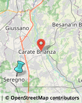 Frutta e Verdura - Dettaglio,20831Monza e Brianza