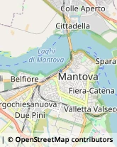 Trasporto Pubblico,46100Mantova