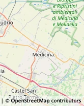 Via Fiorentina, Snc,40059Medicina