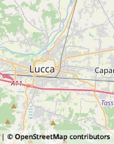 Autotrasporti,55100Lucca